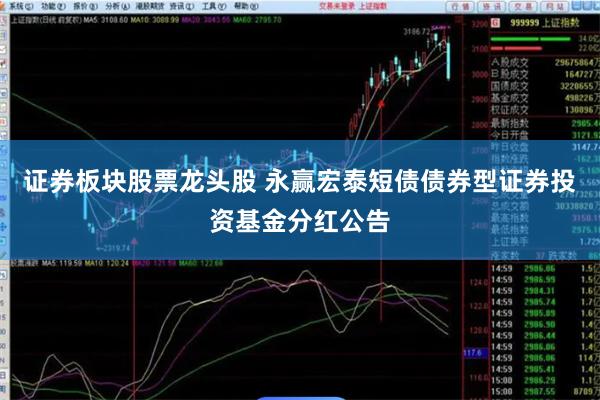 证券板块股票龙头股 永赢宏泰短债债券型证券投资基金分红公告