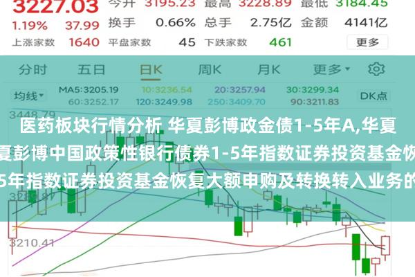 医药板块行情分析 华夏彭博政金债1-5年A,华夏彭博政金