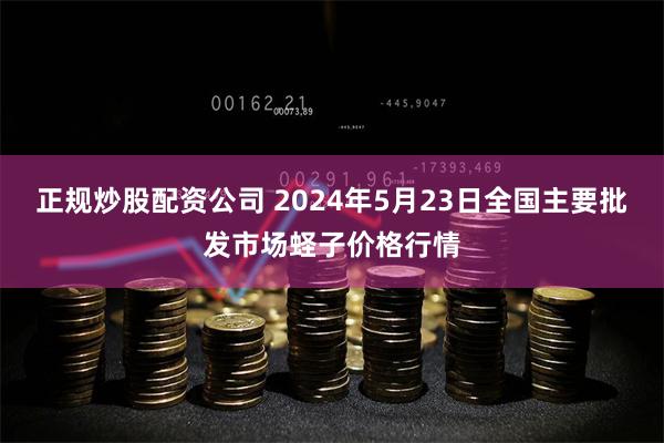 正规炒股配资公司 2024年5月23日全国主要批发市场蛏子价格行情