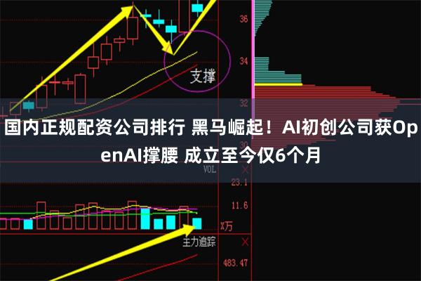 国内正规配资公司排行 黑马崛起！AI初创公司获OpenAI撑