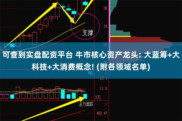 可查到实盘配资平台 牛市核心资产龙头: 大蓝筹+大科技+