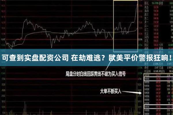 可查到实盘配资公司 在劫难逃？欧美平价警报狂响！