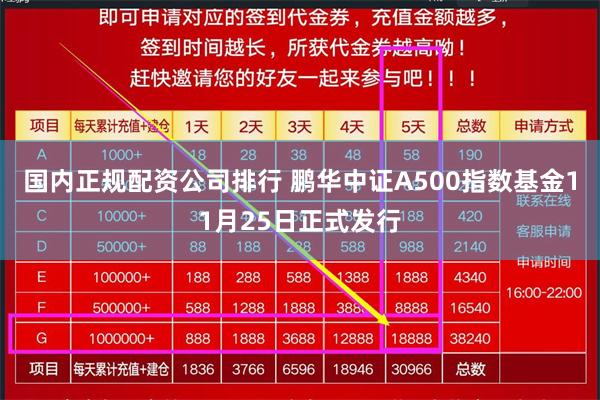 国内正规配资公司排行 鹏华中证A500指数基金11月25日正式发行