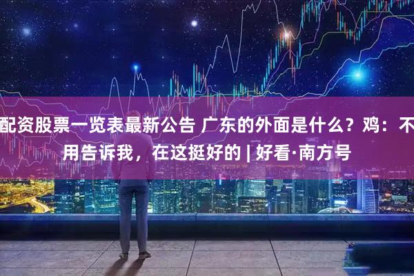 配资股票一览表最新公告 广东的外面是什么？鸡：不用告诉我，在这挺好的 | 好看·南方号