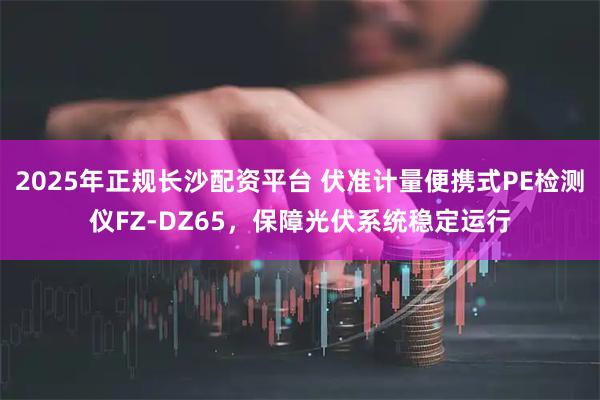 2025年正规长沙配资平台 伏准计量便携式PE检测仪FZ-DZ65,保障光伏系统稳定运行
