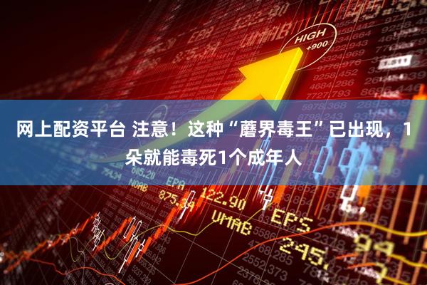 网上配资平台 注意!这种“蘑界毒王”已出现,1朵就能毒死1个成年人